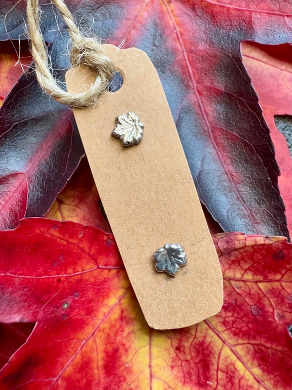 Tiny silver maple leaf stud earrings in a jar 