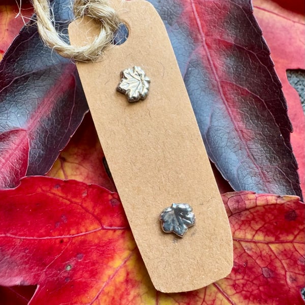 Tiny silver maple leaf stud earrings in a jar 