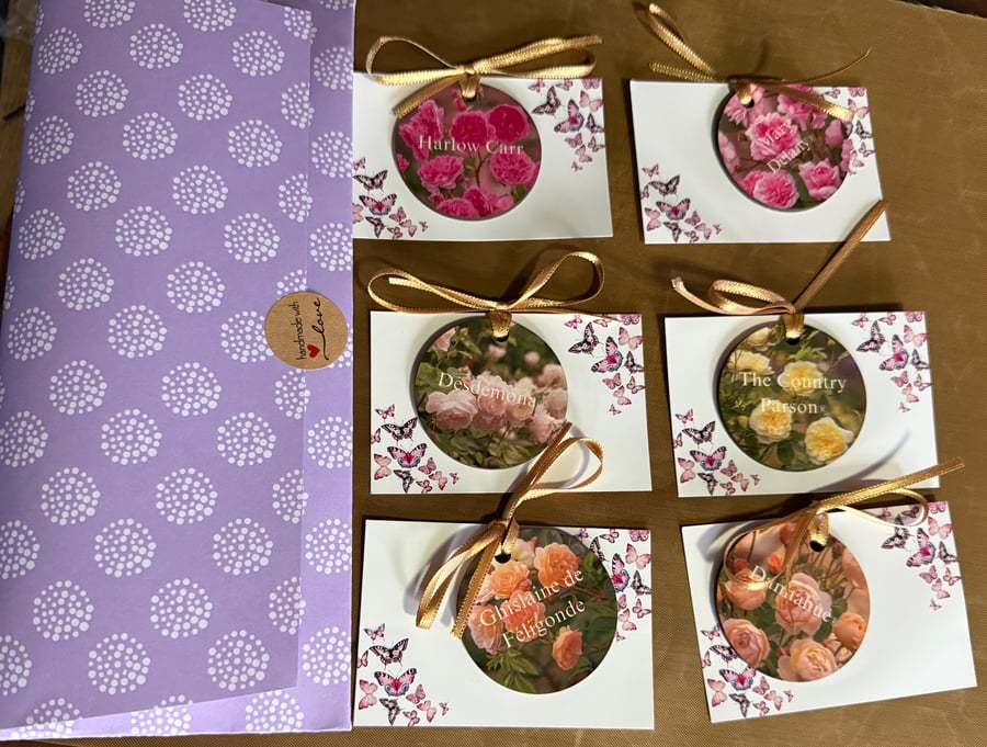 Plant photo label personalised with stake