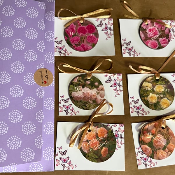 Plant photo label personalised with stake