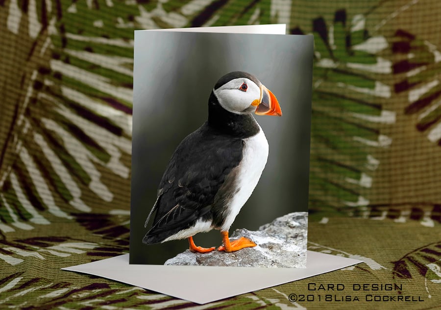Exclusive Handmade Puffin Rock Greetings Card on Archive Photo Paper