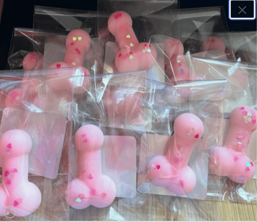 Willy Wax Melts- - Hen Party -Wedding Favours -Individually Wrapped