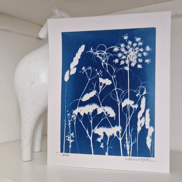 Cyanotype Botanical Print No. 12