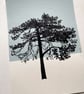 Ashdown Pine no.61, A4 size, original artwork, hand painted, blue - Image 5