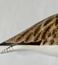 Curlew looking back - Image 2