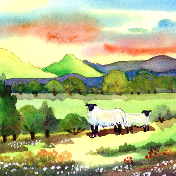 Sunset, Sheep, Brecon Beacons, Wales, Original Watercolour in 14 x 11 '' Mount