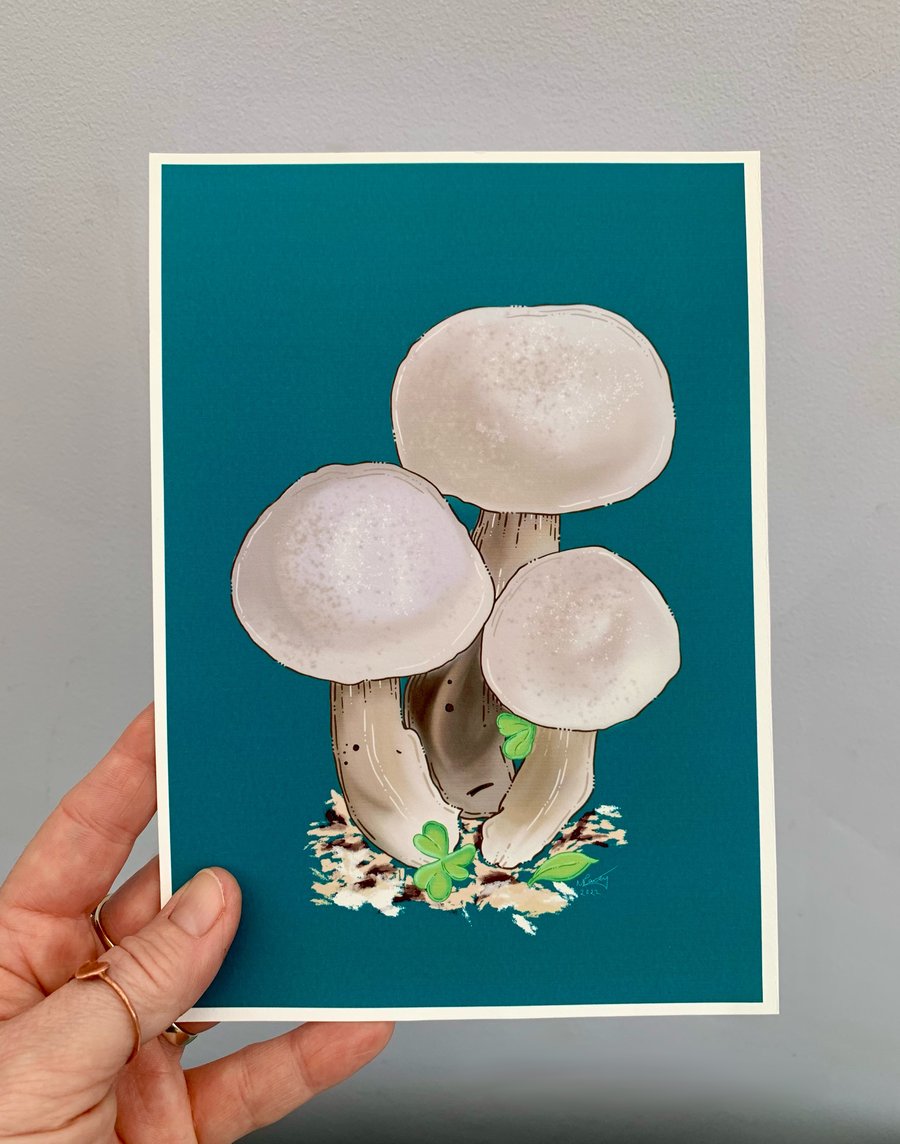 Art print. Mushrooms. Digital art. Fungi. Art work. Nature. Botanicals.