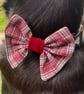 Fan Dog Bow Design with Velvet center - Image 7