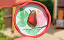 Gifts for Animal Lovers