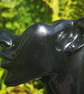 Black Pearl Surgical Steel Studs - Image 3