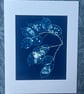 Seed Pods captured in Cyanotype, Gift for gardner, Original wall art. - Image 8