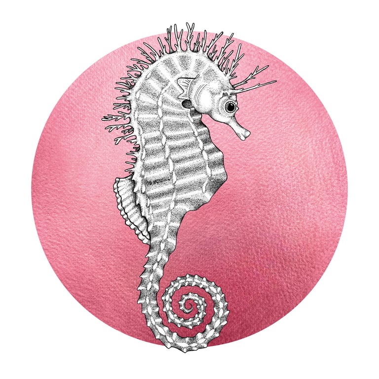 Steph the Spiny Seahorse - Pink