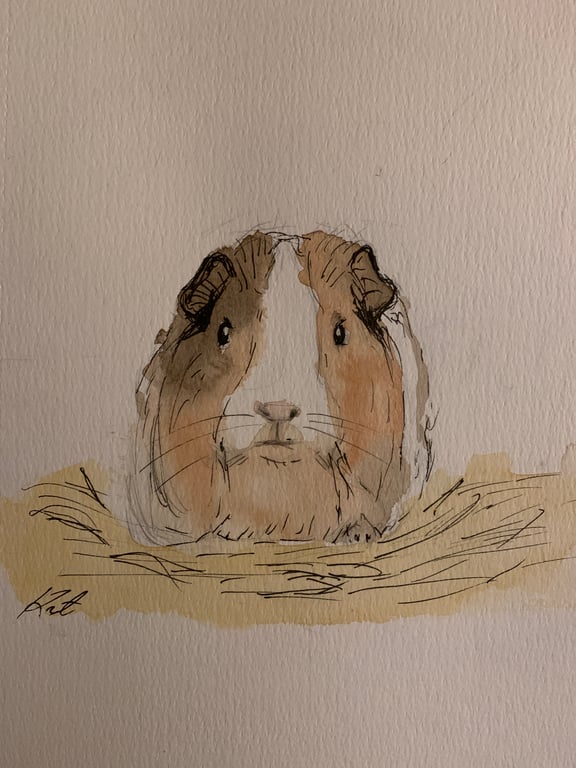 Custom Ink and Watercolour Pet Portrait Whimsical Hand-Painted Pet Illustration