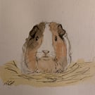 Custom Ink and Watercolour Pet Portrait Whimsical Hand-Painted Pet Illustration