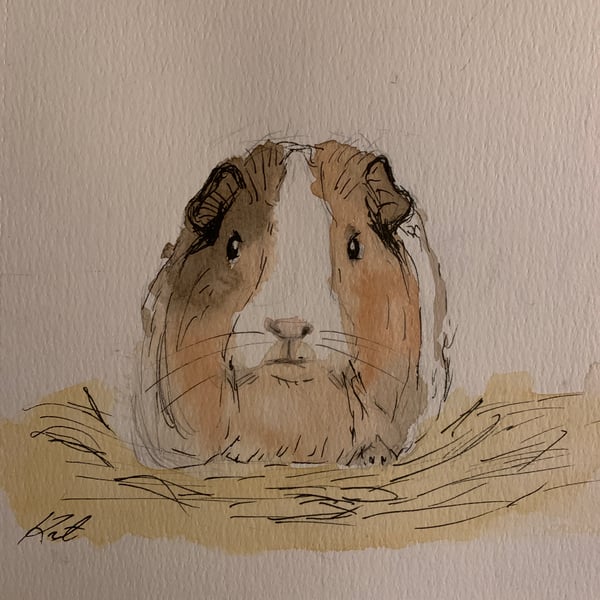 Custom Ink and Watercolour Pet Portrait Whimsical Hand-Painted Pet Illustration