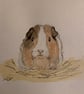 Custom Ink and Watercolour Pet Portrait Whimsical Hand-Painted Pet Illustration