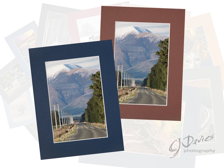 CJ219 - New Zealand highway