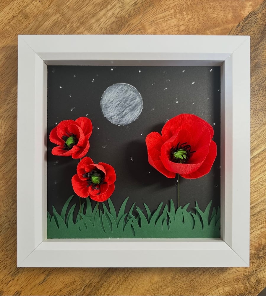 Poppy picture at night 