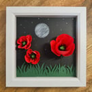 Poppy picture at night 