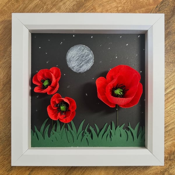 Poppy picture at night 