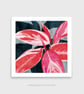 Stromanthe triostar Stromanthe sanguinea Botanical Square Art Print - Image 2