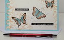 Any occasion cards