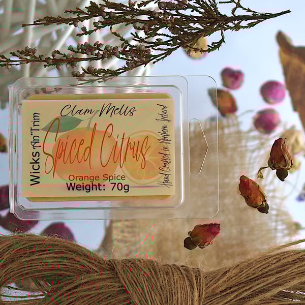 Soy Wax Melt Clam Melt - Spiced Citrus