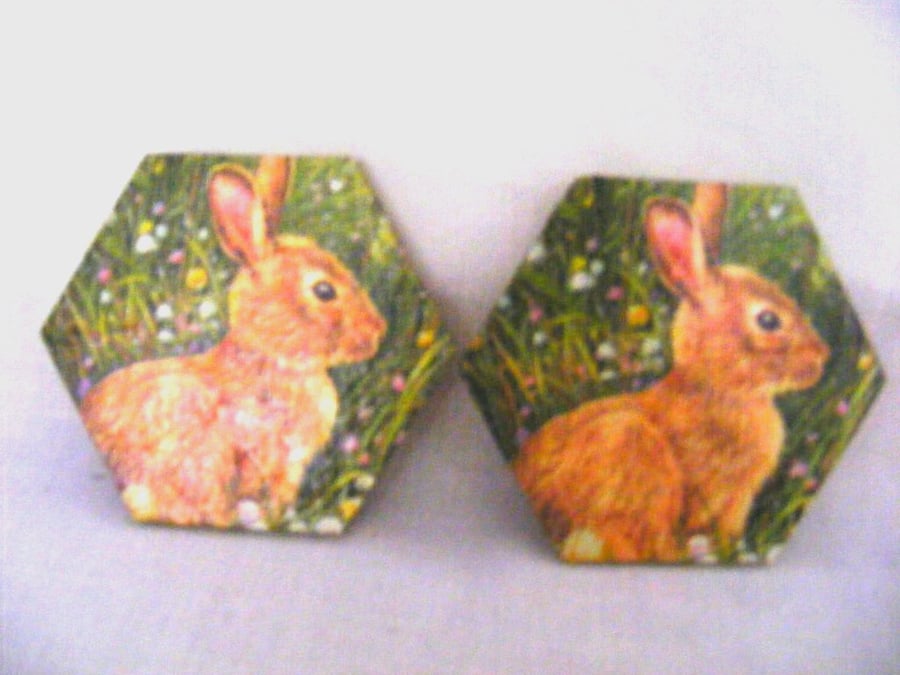 Set of 2 Rabbit Coasters.