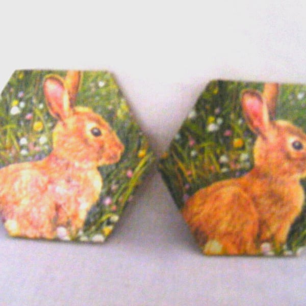 Set of 2 Rabbit Coasters.