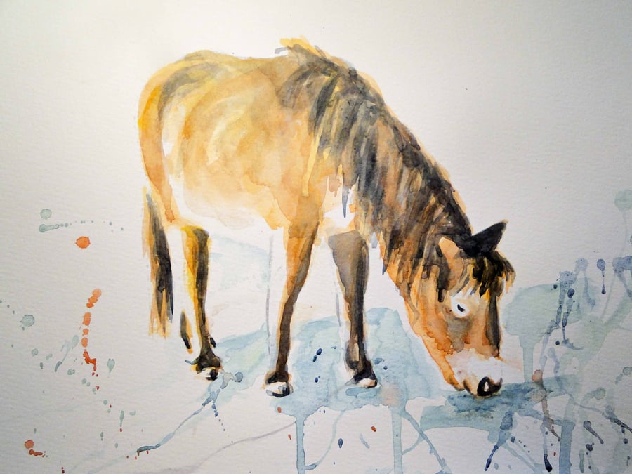 Pony Graze Original Watercolor Animal Art Painting Hprse