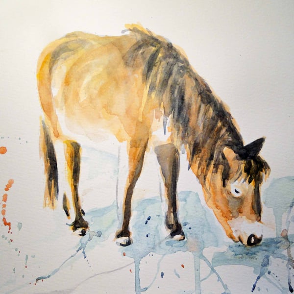Pony Graze Original Watercolor Animal Art Painting Hprse