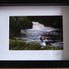 The Rambling Fairy Framed Photographic Print