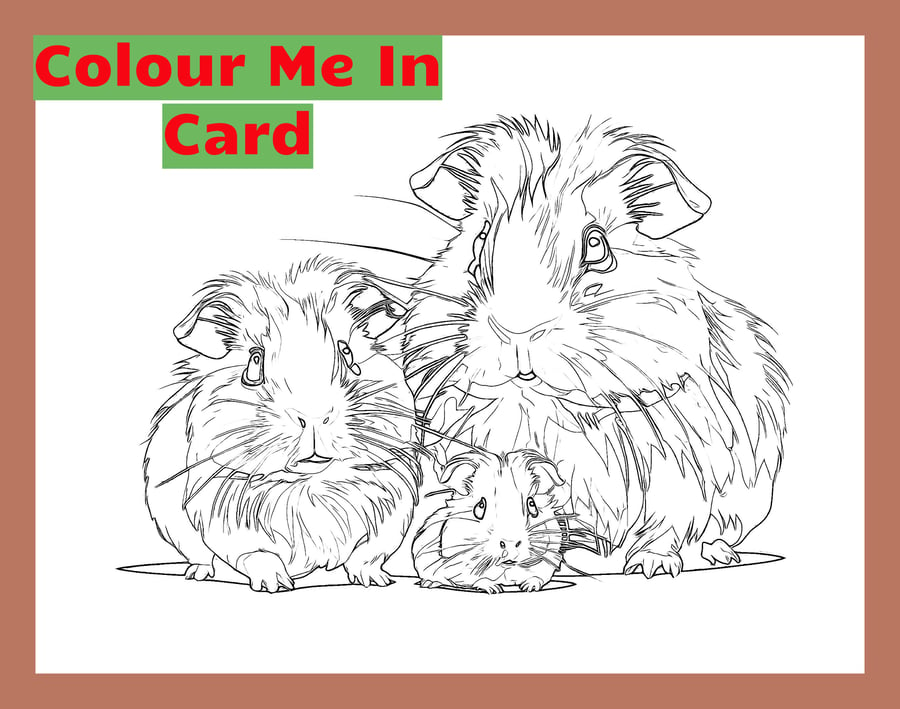 Colour Me In Activity Guinea Pigs Card A5