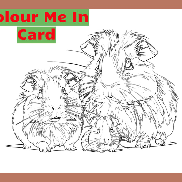 Colour Me In Activity Guinea Pigs Card A5