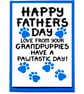 Fathers Day Card From Dogs For Grandad, Grandpuppies Father's Day Card, For Him