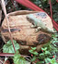 Stoneware planter with lizard - Image 2