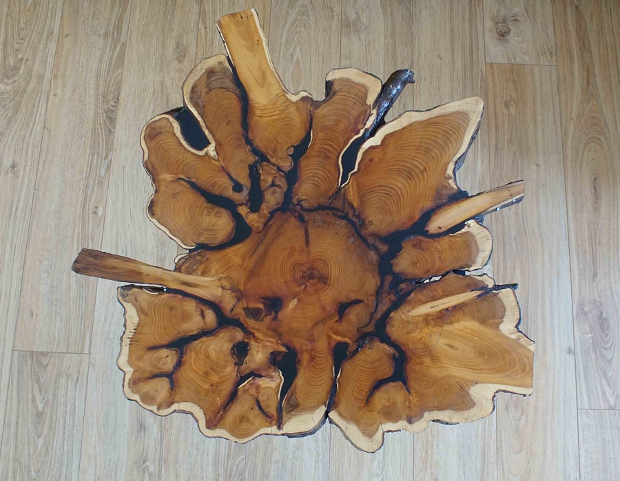 Unique wooden yew coffee table