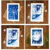 Pack of 4 Christmas cards from Cyanotype images