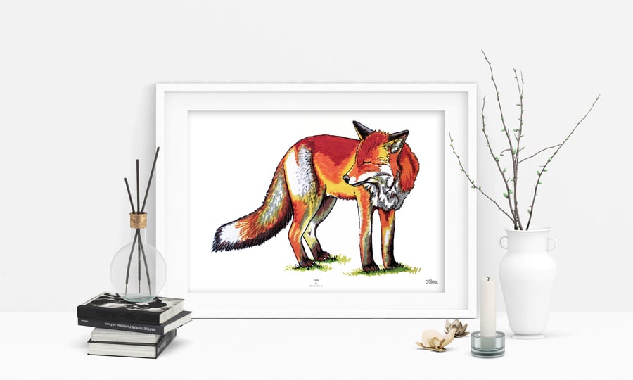 Fox Art Print - 'Fox' - A5 A4 A3 Wildlife Art Print