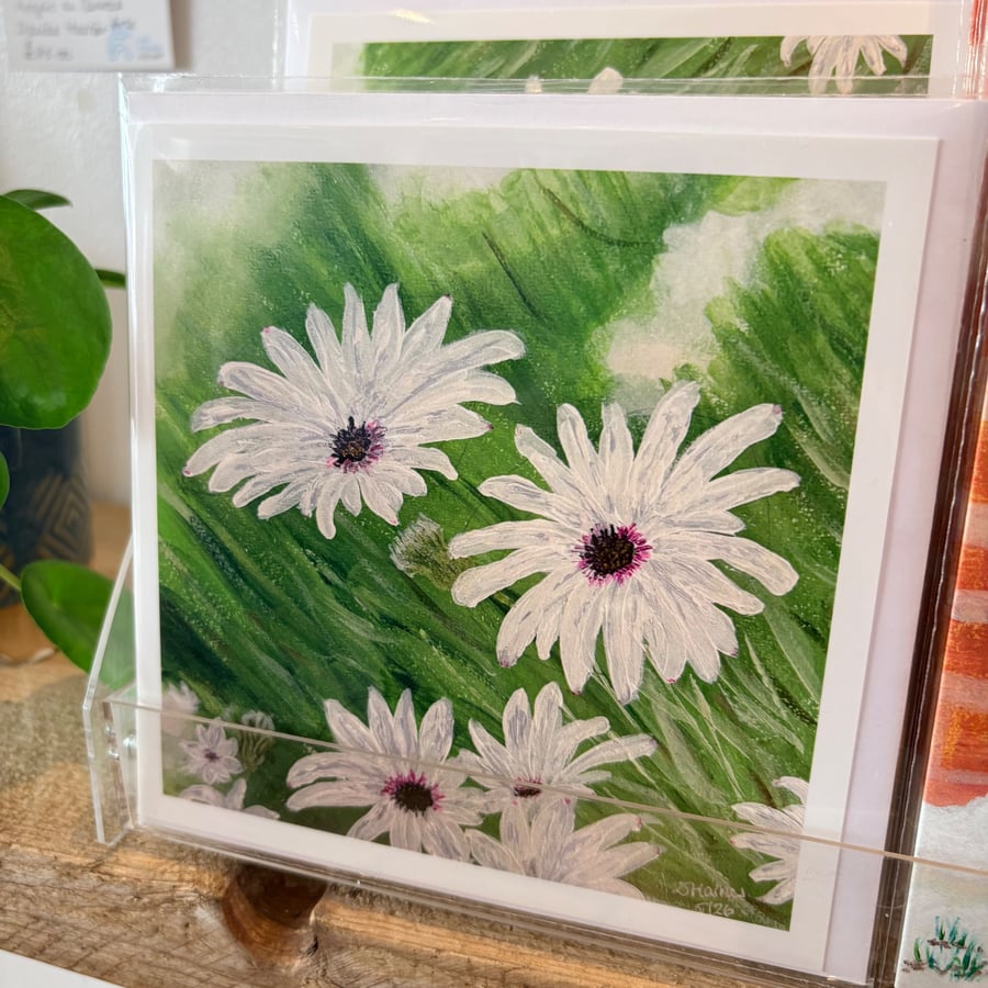 Floral card - The White Collection - Oestrospermums