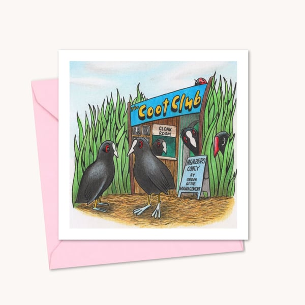 Funny Birds Greeting Card: Cute Hand Drawn Coots and Moorhen Illustration (222)