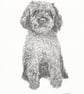 Custom A5 Pet Portrait DRAWING - Image 2