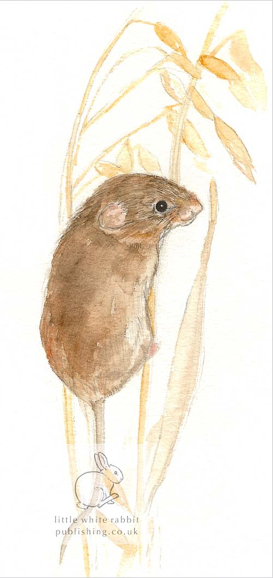 Harvest Mouse - Blank Card