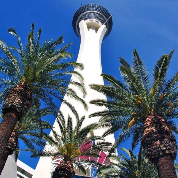 Stratosphere Tower Las Vegas Nevada America Photograph Print