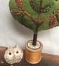 Cotton reel tree - bold green with variegated leaves - Image 3