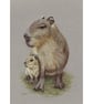 Capybara Fine Art Print - Image 1