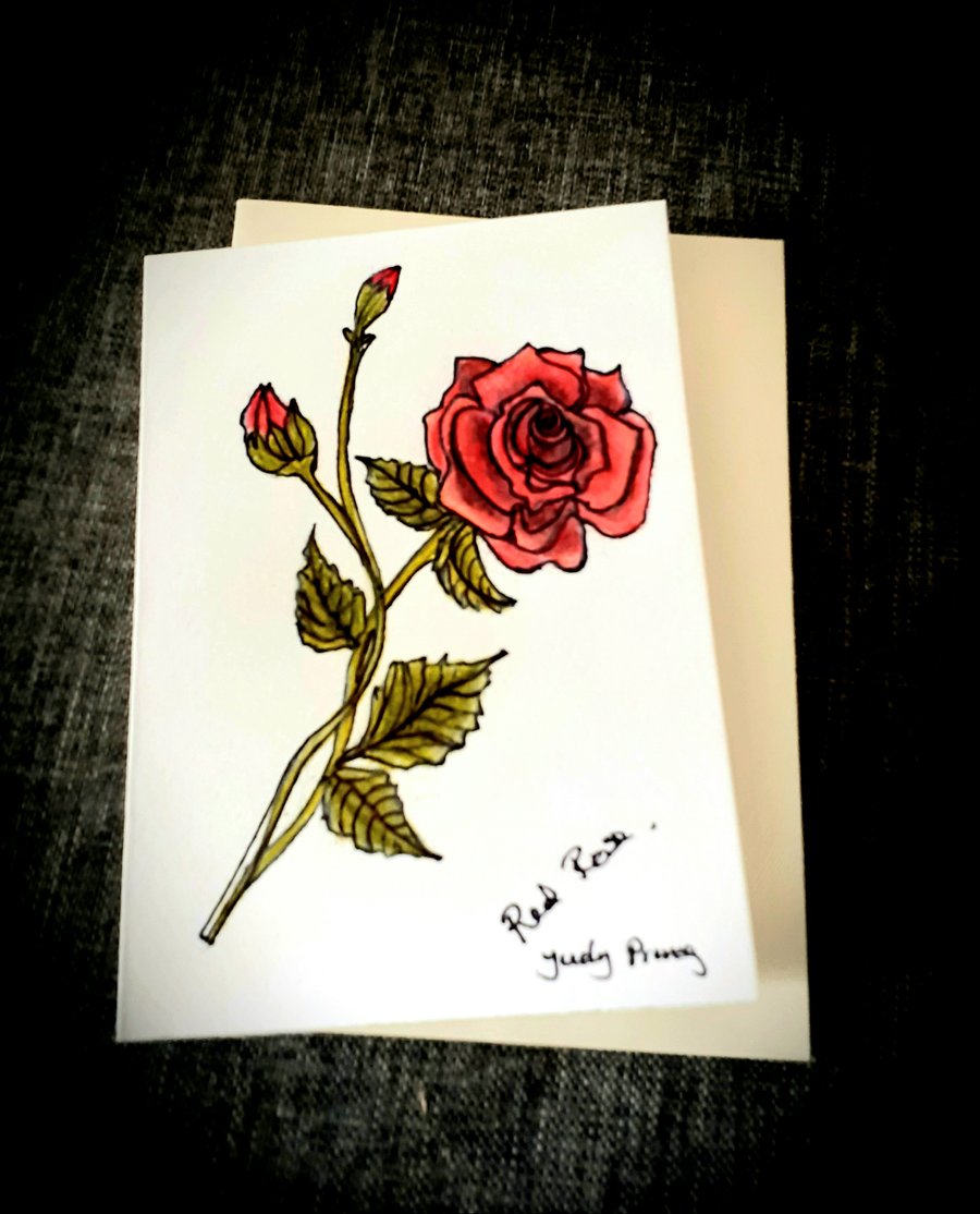 Hand drawn red rose flower card