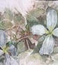Clematis- Original Watercolour - Image 2