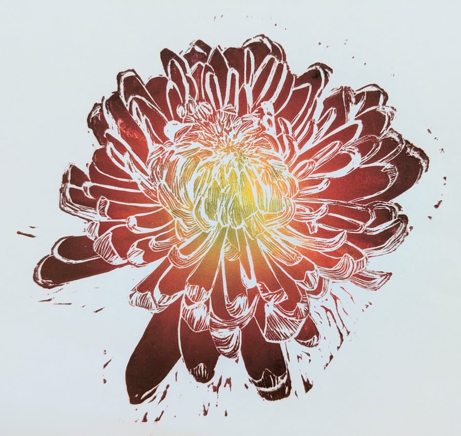 Chrysanthemum (Red, Orange, Yellow)
