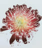 Chrysanthemum (Red, Orange, Yellow) - Image 1